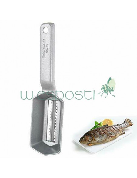 Squamatore con coperchio asportabile - massima pulizia