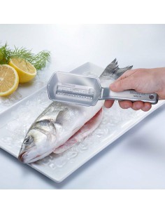 Squamatore con coperchio asportabile - massima pulizia