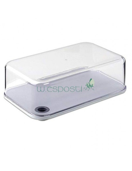 Porta formaggio da frigo o tavola  2 misure con coperchio