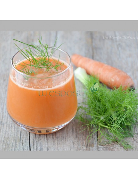 Accessorio estrattore succhi e smoothies per robot Magimix