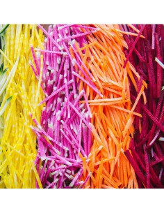 Disco taglio julienne per robot Magimix 2