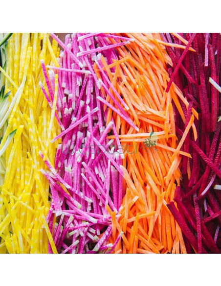 Disco taglio julienne per robot Magimix