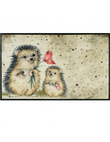 Tappetini zerbini cm.50x75 indoor e outdoor...