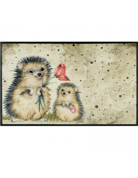 Tappetini zerbini cm.50x75 indoor e outdoor Kleen-Tex 5 anni di garanzia