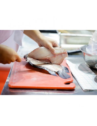 Coltello per filettare lama flex cm.20 in...