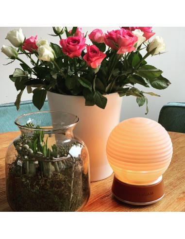 Vaporizzatore/diffusore d'aromi con luce a led...