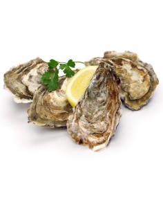 Coltello apriostriche e grana in acciaio Paderno 2