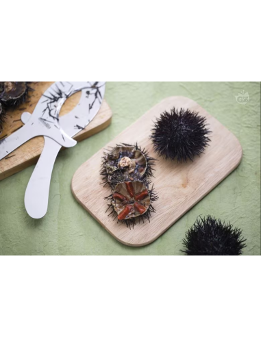 Forbice taglia ricci in acciaio Paderno