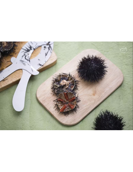 Forbice taglia ricci in acciaio Paderno