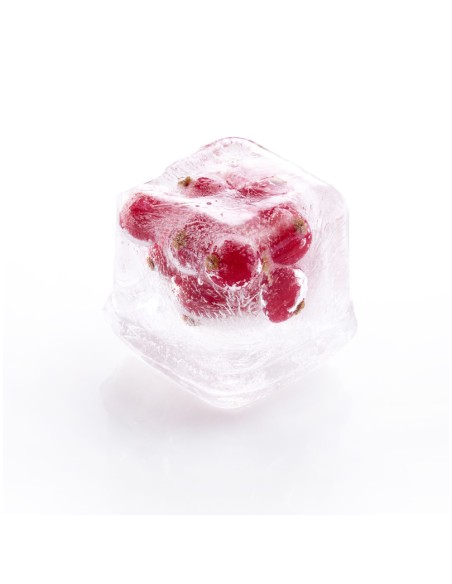 Vaschetta forma ghiaccio 6 cubi maxi con coperchio Westmark