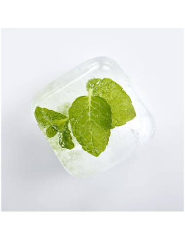 Vaschetta forma ghiaccio 6 cubi maxi con...