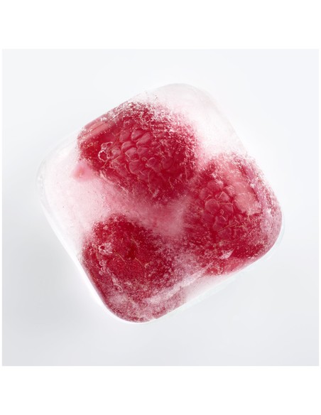 Vaschetta forma ghiaccio 6 cubi maxi con coperchio Westmark