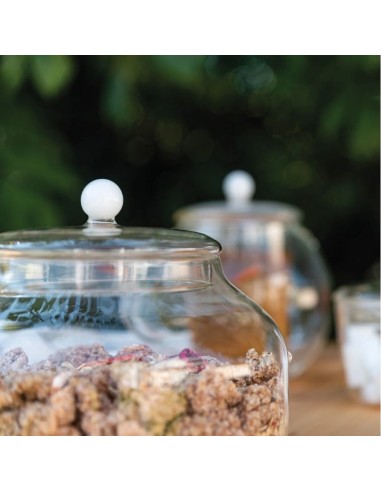 Biscottiera Bilia in vetro borosilicato design...