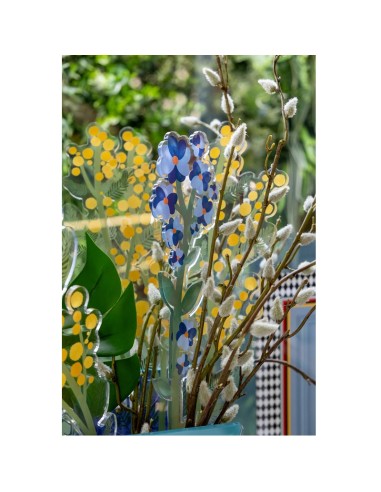 Funny flowers - i fiori  che non sfioriscono...