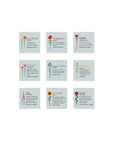 Funny flowers - i fiori  che non sfioriscono...