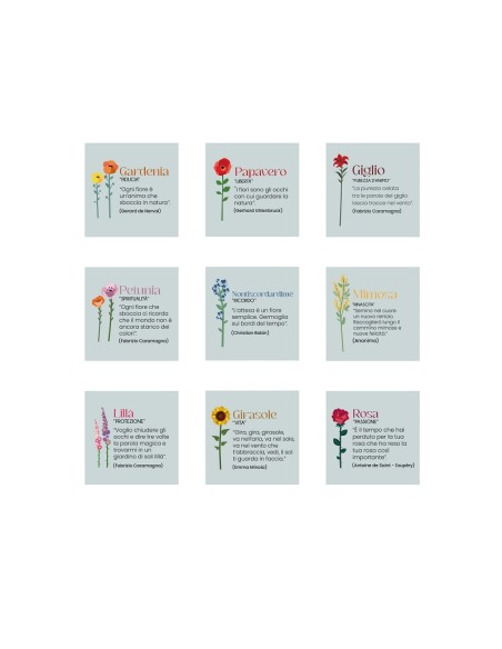 Funny flowers - i fiori  che non sfioriscono mai firmati Vesta Home