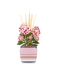 Profumatore Aurora  + fragranza Vesta