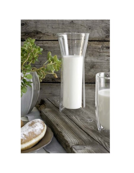 Caraffa in vetro borosilicato a doppia parete-termica - Wd Lifestyle