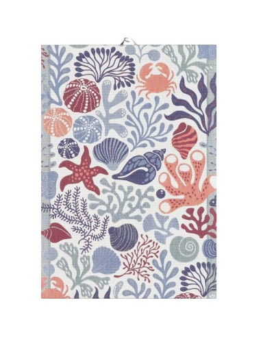 Strofinacci in puro cotone biologico cm.35x50...