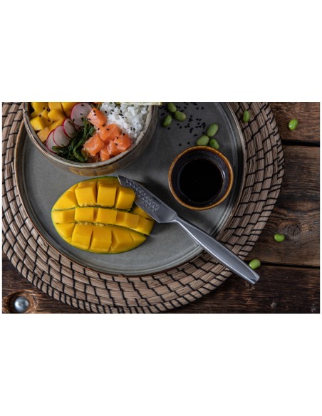 Coltello speluchino dritto lama liscia Monaco in acciaio inox cm.8/20