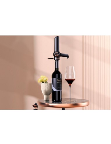 Conoisseur Light sistema per la conservazione...