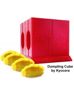Asian ravioli maker - Dumpling Cube by Kyocera