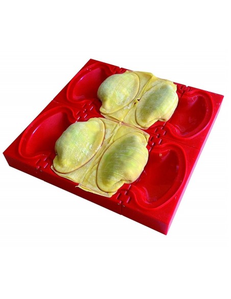Asian ravioli maker - Dumpling Cube by Kyocera