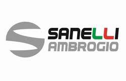 Sanelli Ambrogio