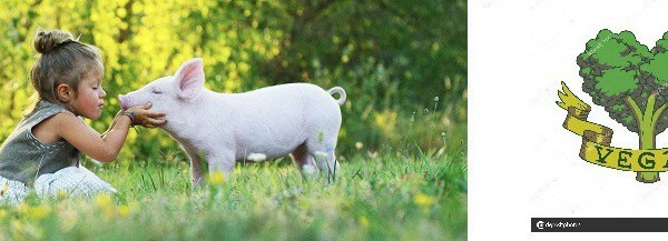 Vegetariani e vegani