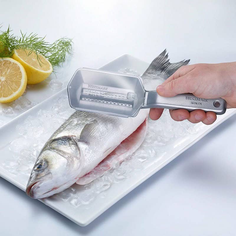 Squamatore con coperchio asportabile - massima pulizia